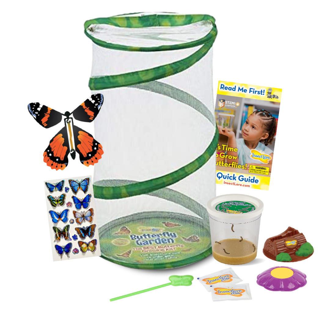 Mini Butterfly Garden® Gift Set with Live Caterpillars - Insect Lore