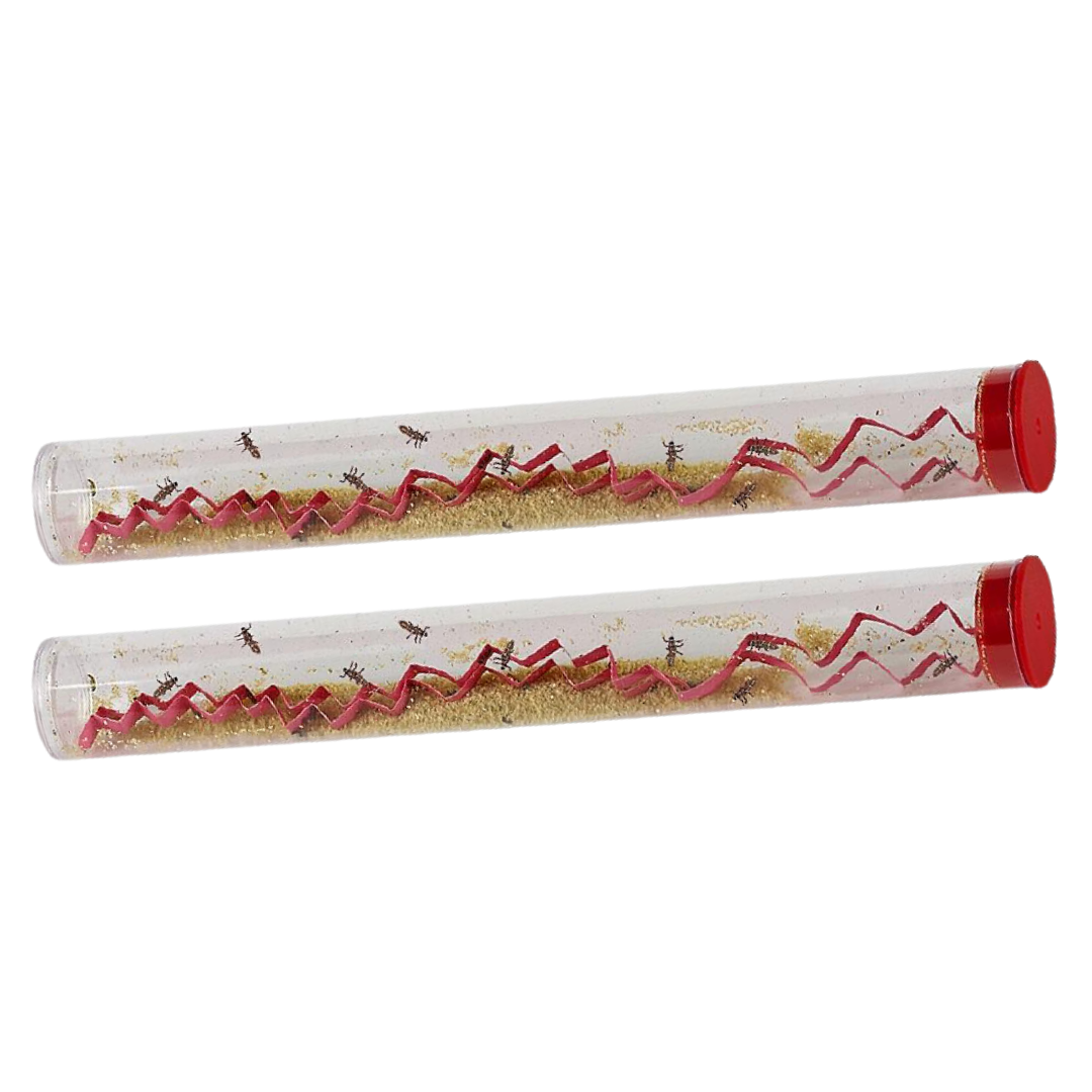 2 Tubes of Ladybug Larvae for $20!