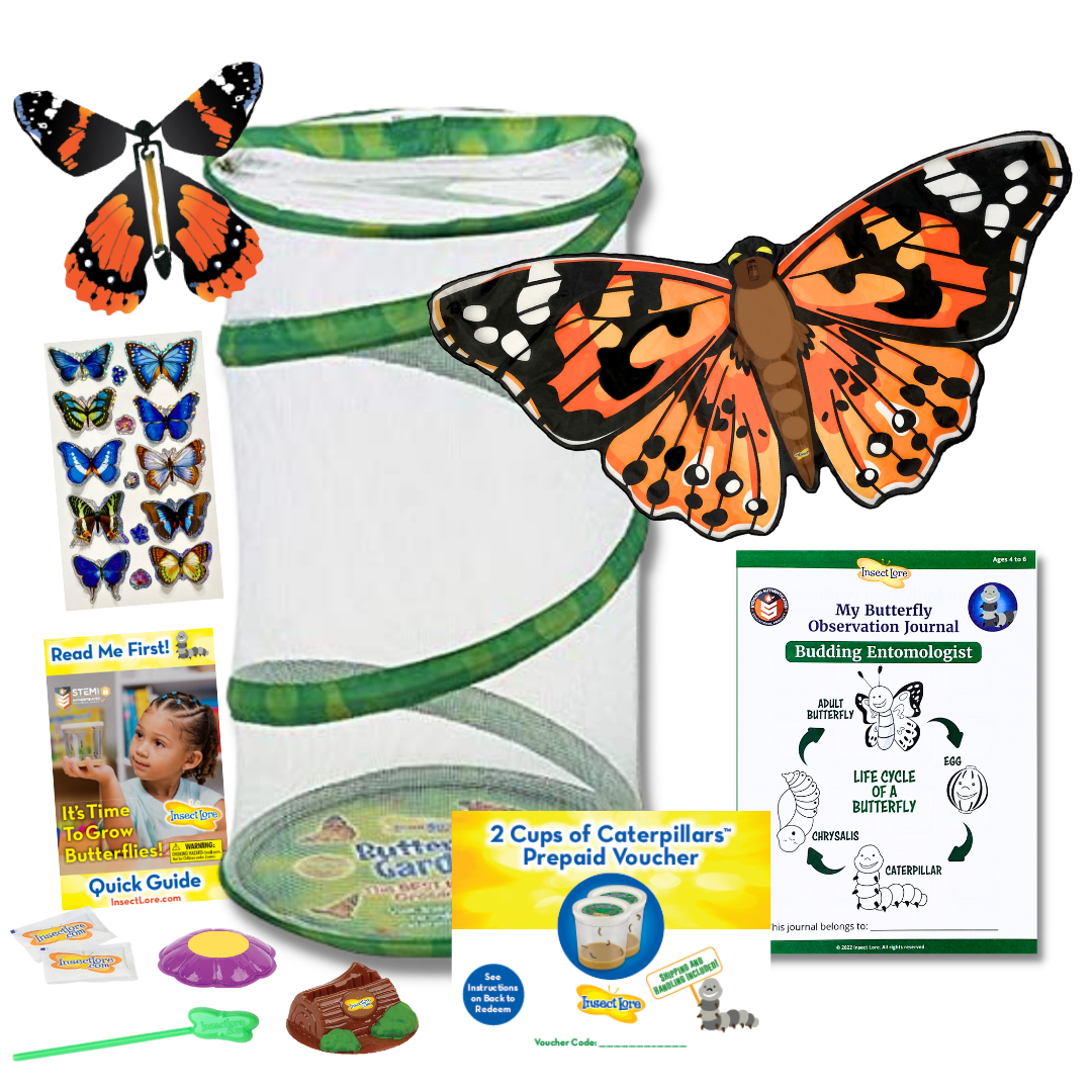 Festive Fun Holiday Gift Set with TWO Cups of Caterpillars Voucher