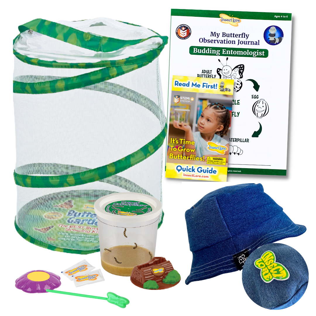 Butterfly Garden® With Live Cup of Caterpillars™ and FREE Youth Bucket Hat