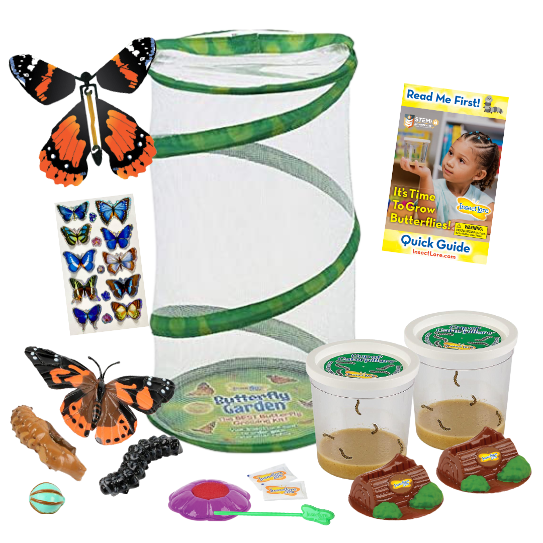 Spring Beginnings Bundle with Live Cup of Caterpillars™ and 2nd Cup FREE!