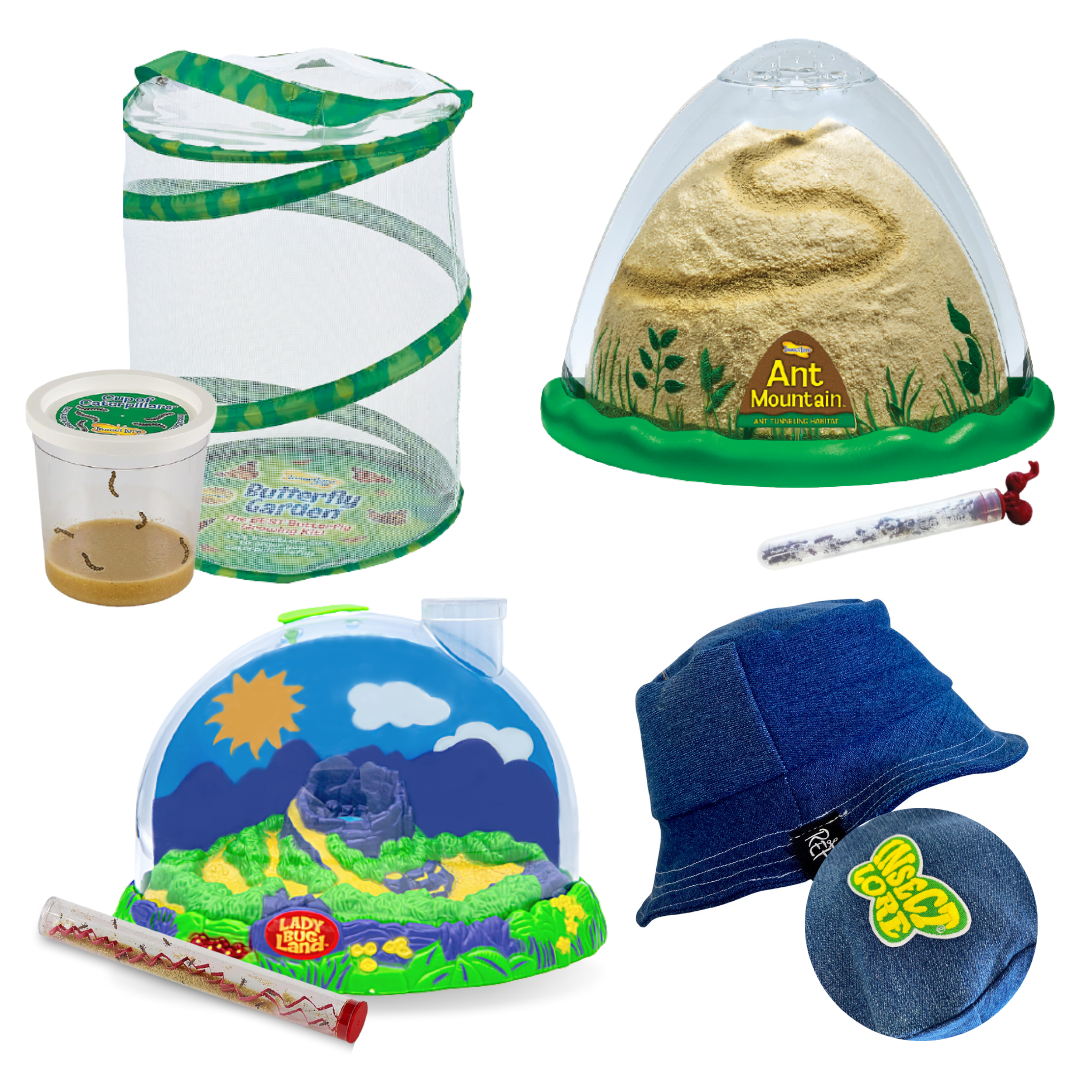Summer Bug Camp - In My Room with FREE Youth Bucket Hat
