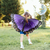 Butterfly Garden® Birthday Kit With Prepaid Voucher and FREE Purple Morpho Dress-Up Wings