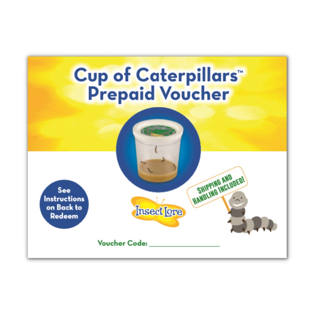 White and yellow voucher for a Cup of Caterpillars