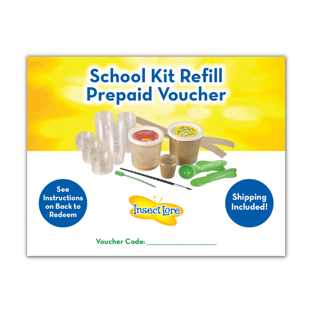 Yellow and white certificate for a School Kit Refill with 33 Live Caterpillars