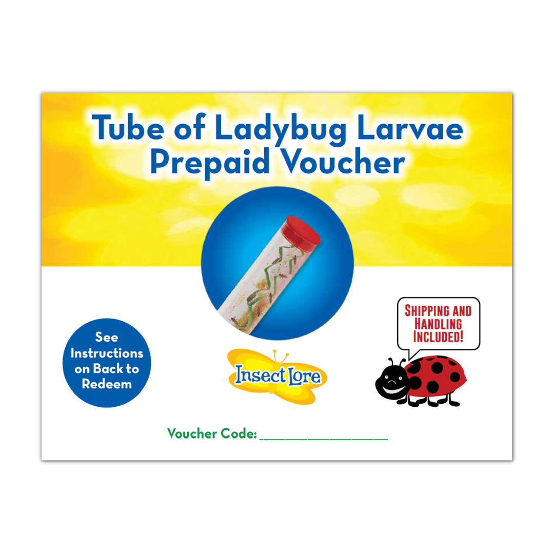 Ladybug Larvae PREPAID Voucher