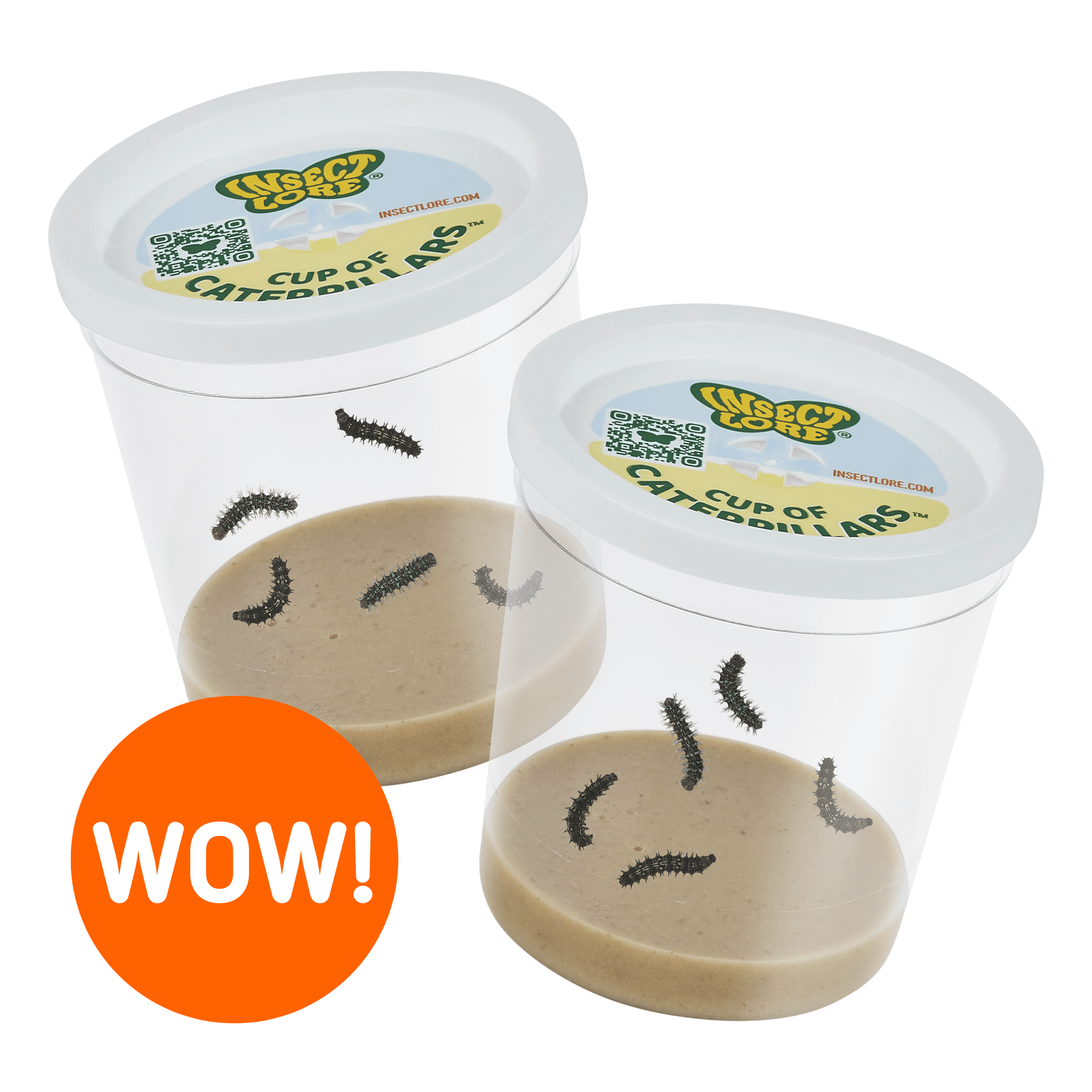 2 Cups of Caterpillars for $22