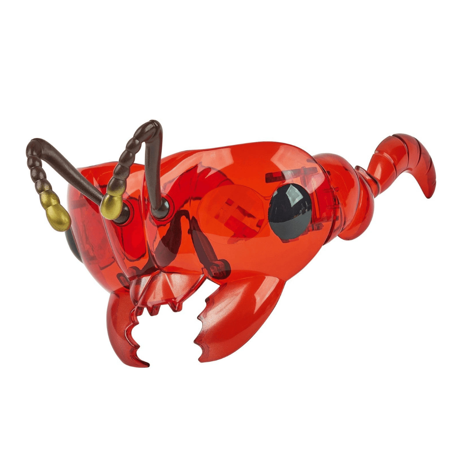 Ant Buzzerks® Bug Goggles