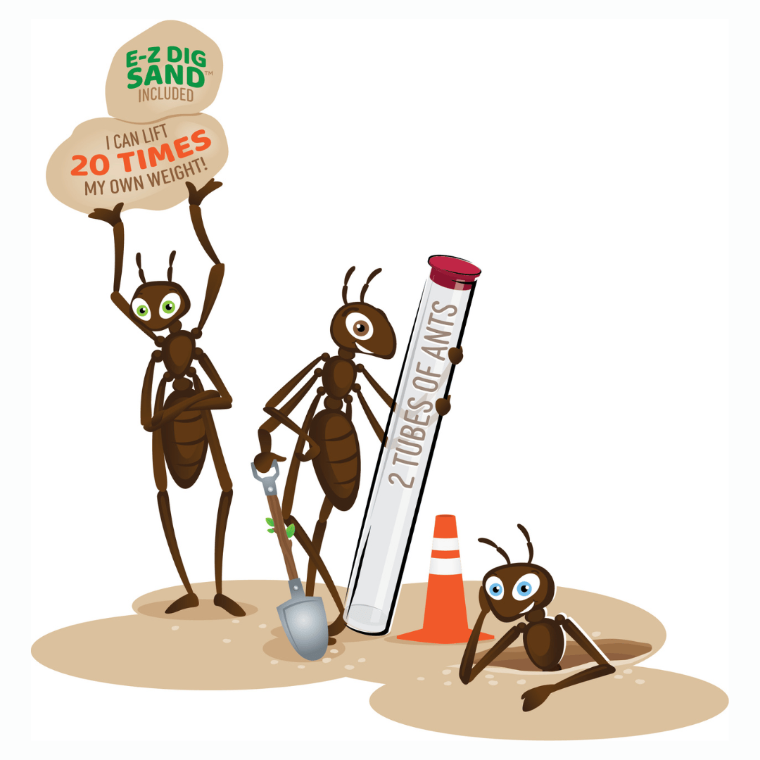Ant Hill™ with 2 Tubes of Live Ants