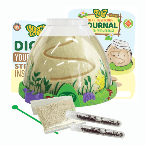 Ant Hill™ with 2 Tubes of Live Ants | Immersive Ant Farm Kit