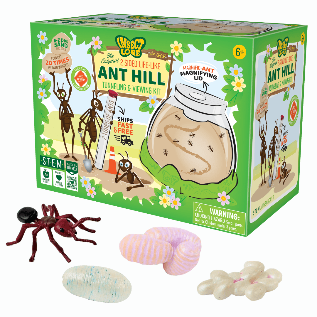 Ant Hill™ with Prepaid Voucher for Live Ants and FREE Ant Life Cycle Stages Figurines