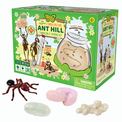 Ant Hill™ with Voucher for Live Ants | Ant Tunneling Kit - Insect Lore