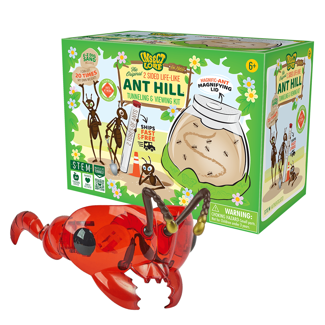 Ant Hill™ with Prepaid Voucher for Live Ants and FREE Ant Buzzerks