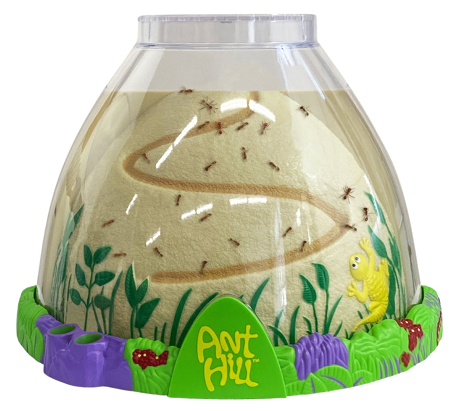 Ant Hill™ with Voucher for Live Ants