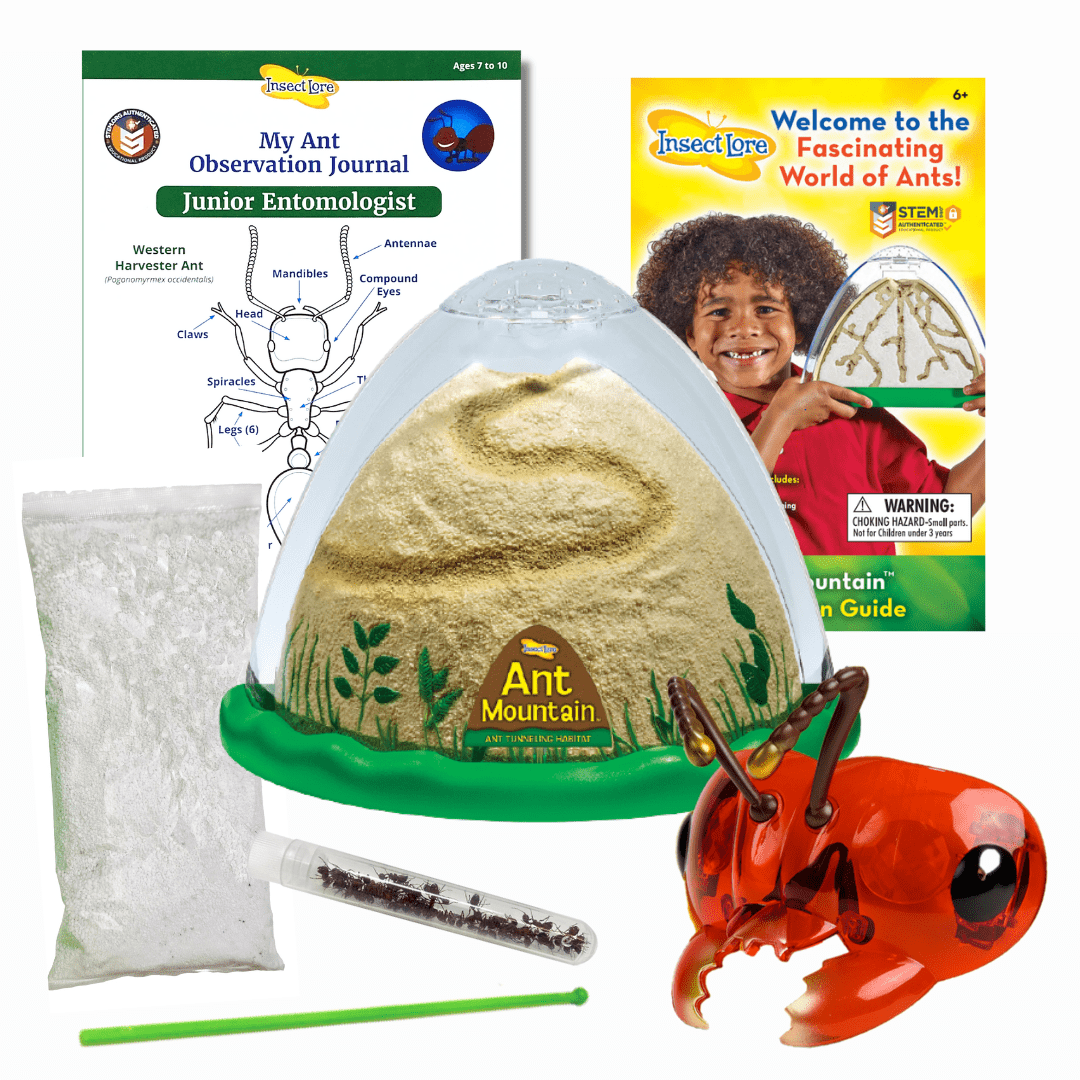 Ant Mountain™ with Tube of Live Ants and FREE Ant Buzzerks®