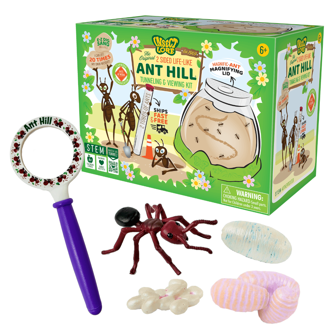 Antsy for the Holidays Gift Set