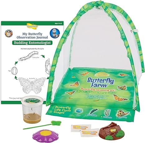 Butterfly Kits with Live Caterpillars | Grow Butterflies at Home ...