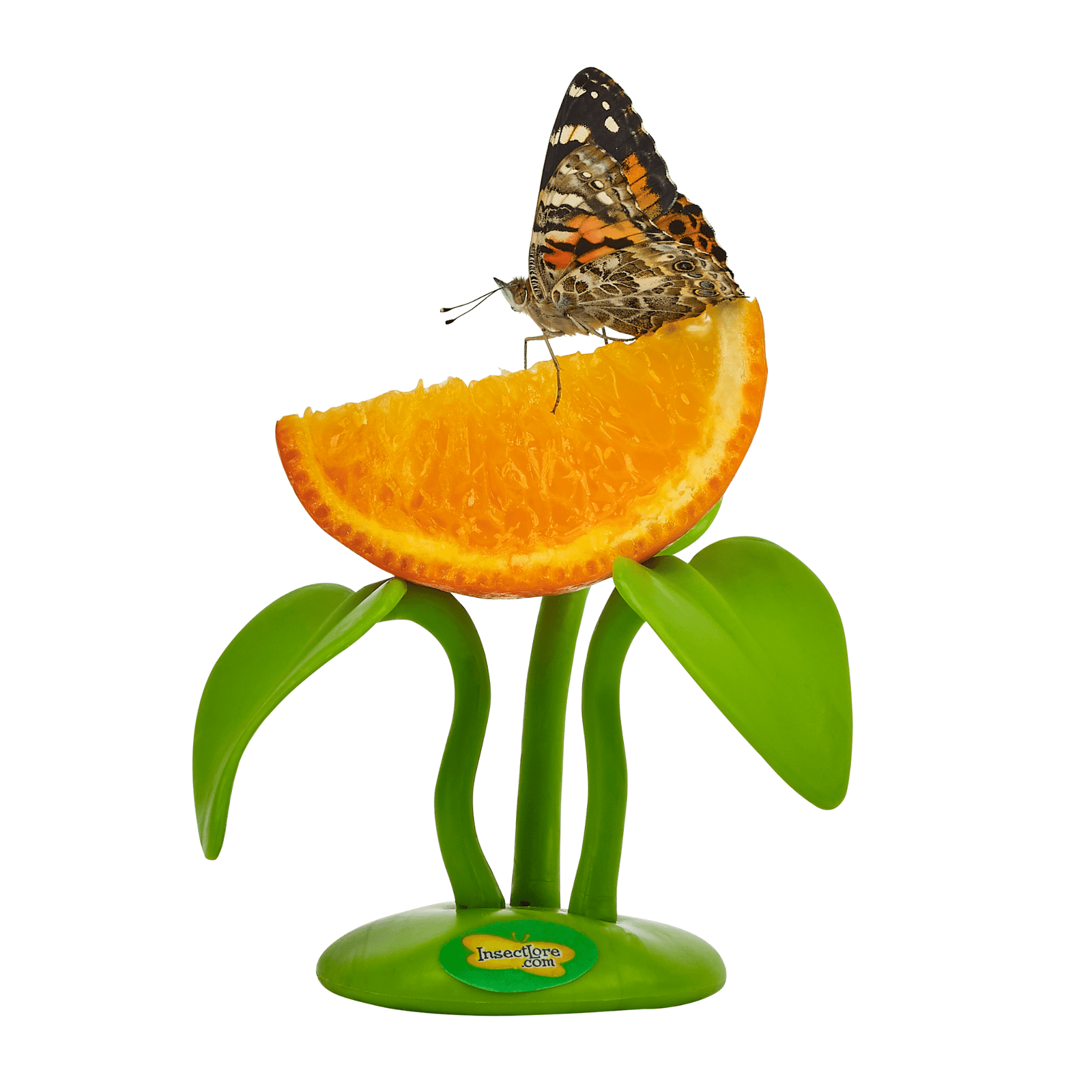 Butterfly Fruit Feeder