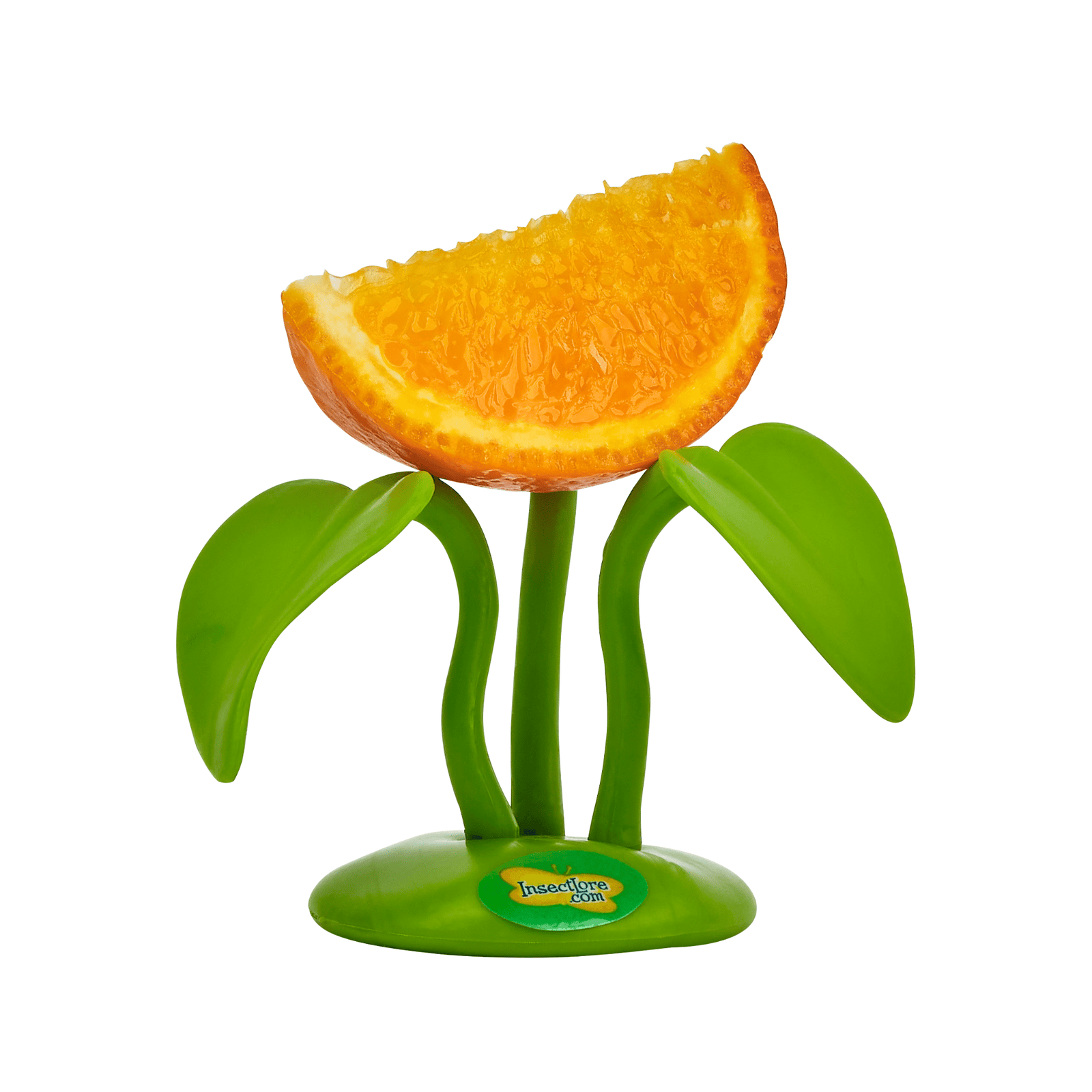 Butterfly Fruit Feeder