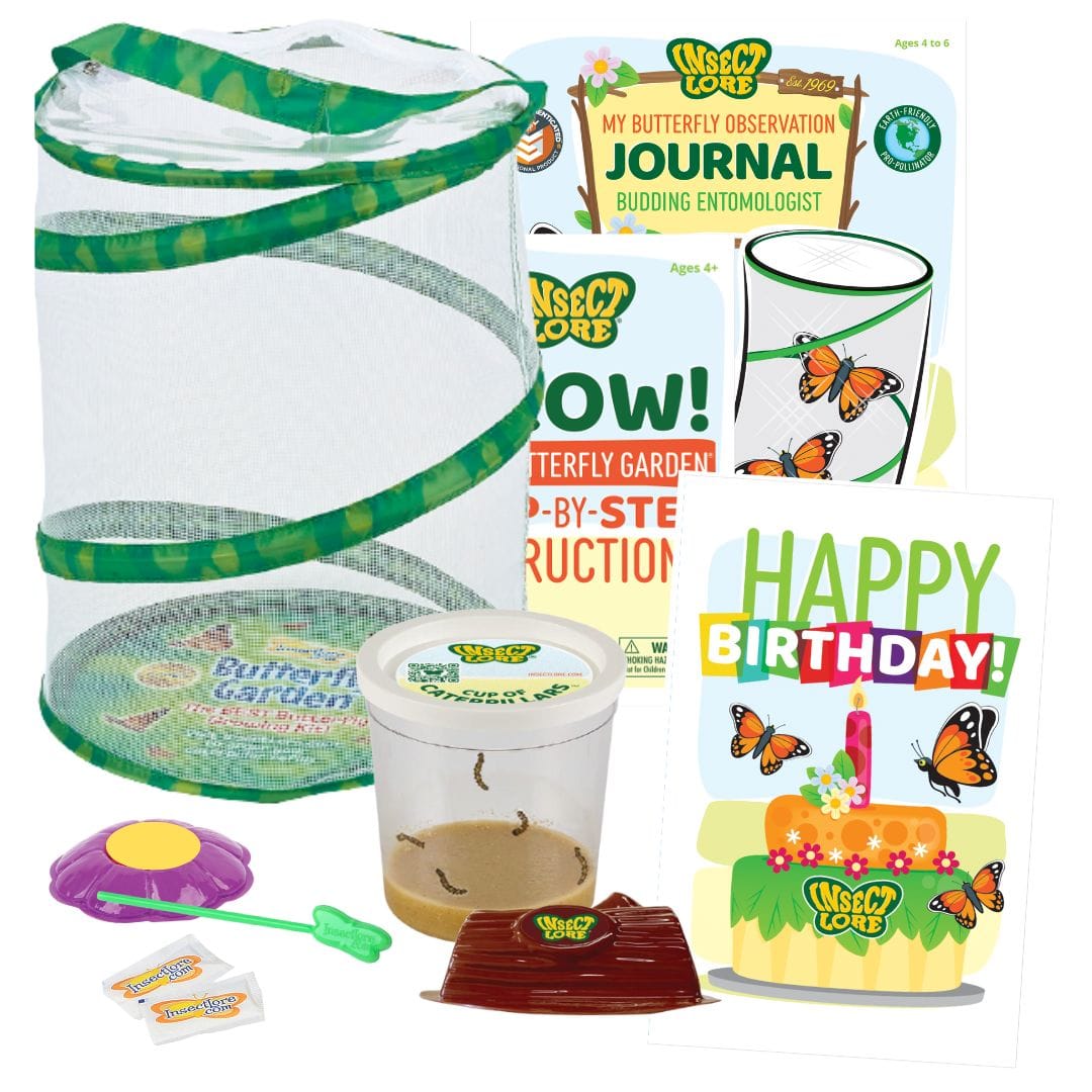 Butterfly Garden® Birthday Kit with Live Caterpillars