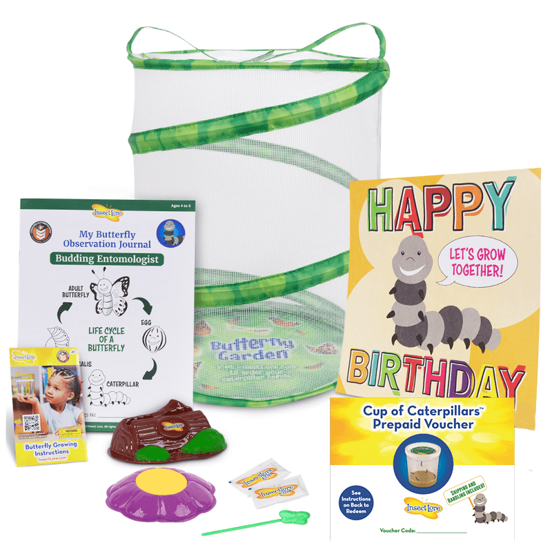 Butterfly Garden Birthday Kit With Prepaid Voucher