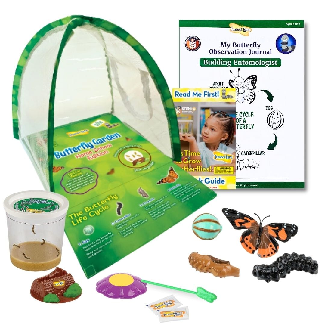 Butterfly Garden® Home School Edition with Live Caterpillars and FREE Butterfly Life Cycle Figures