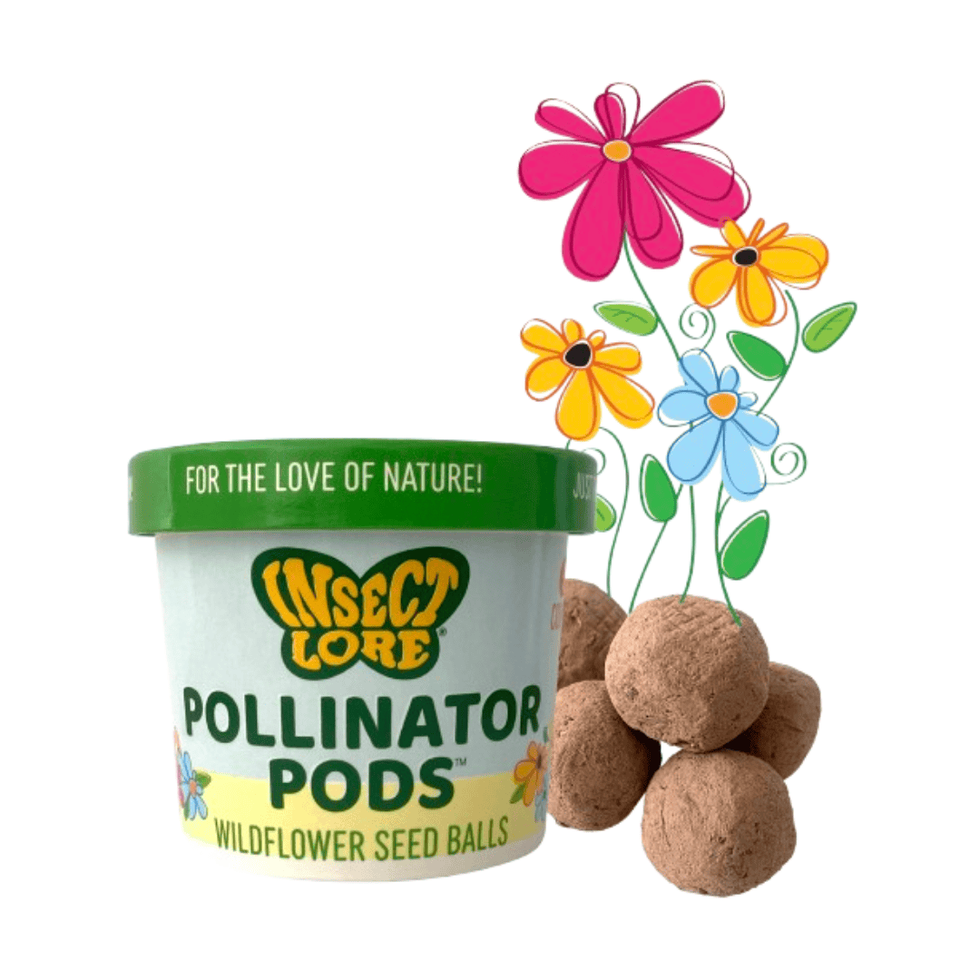 Butterfly Garden® Pollinator Month Bundle