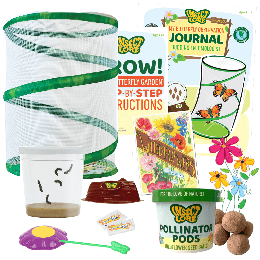 Butterfly Garden® Pollinator Month Bundle