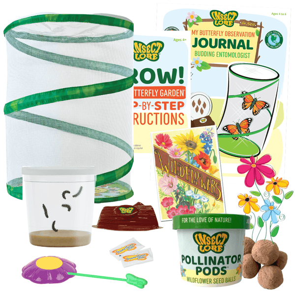 wildflower seeds block of the month kit Butterfly Garden With Live Cup of Caterpillars