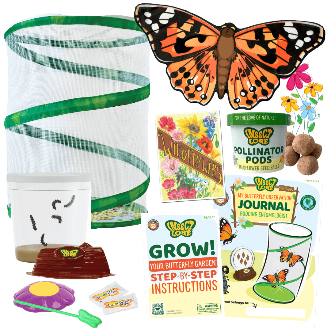 Butterfly Garden® Pollinator Month Bundle with FREE Painted Lady Dress-Up Wings