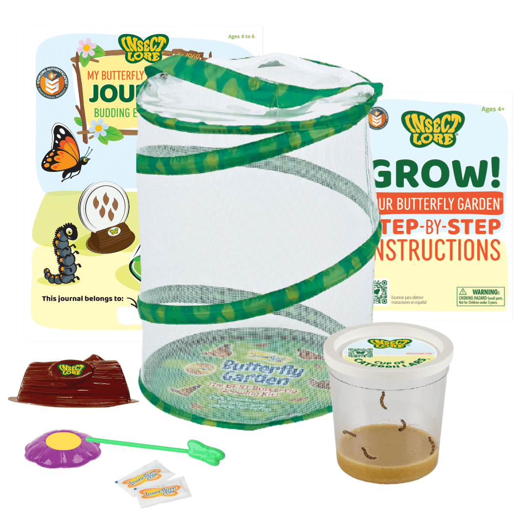 Butterfly Garden® With Live Cup of Caterpillars™