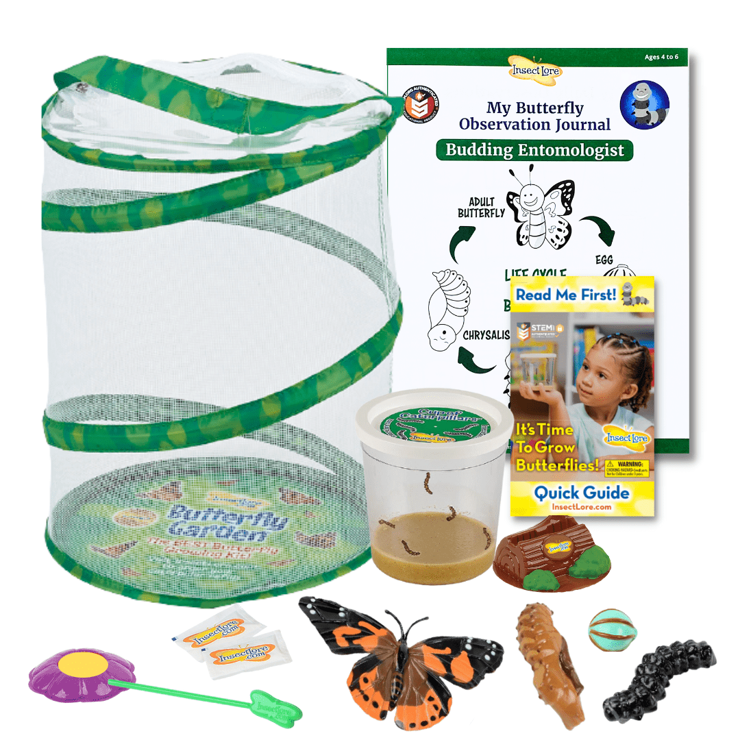 Butterfly Garden® With Live Cup of Caterpillars™ and FREE Butterfly Life Cycle Stages