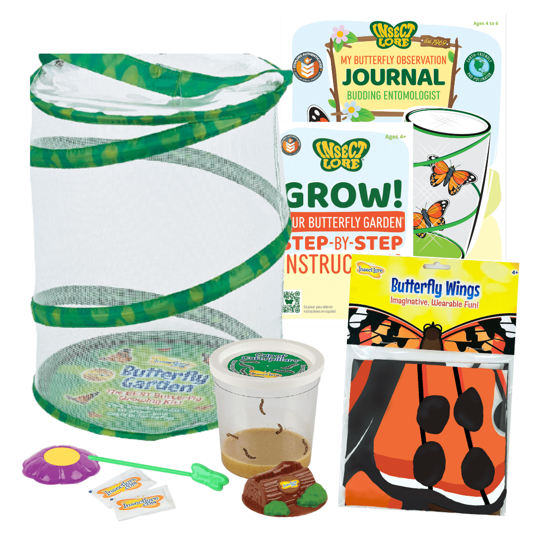 Butterfly Garden® with Live Cup of Caterpillars™ and FREE Painted Lady Butterfly Dress-Up Wings