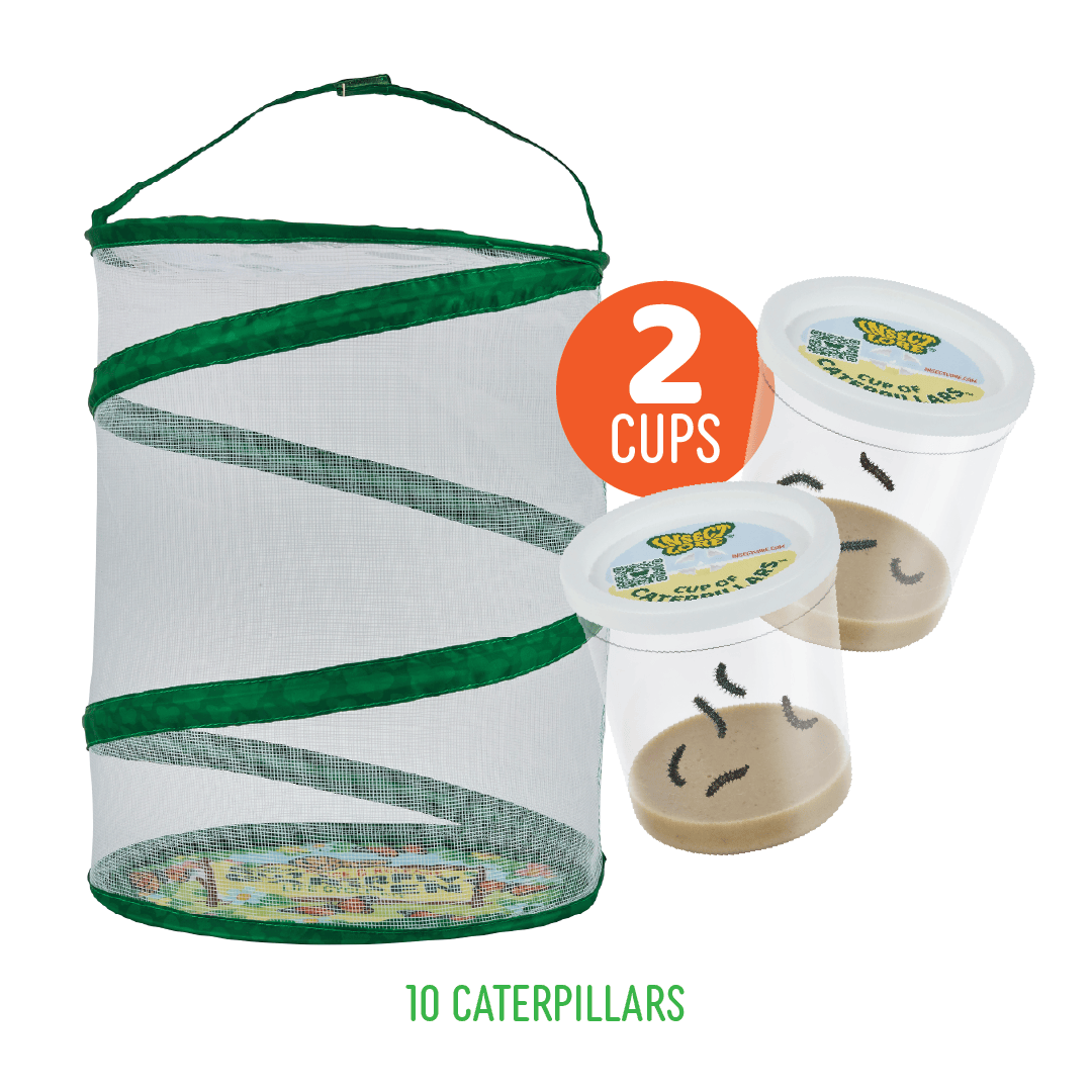 Butterfly Garden® With Two Cups of Caterpillars™