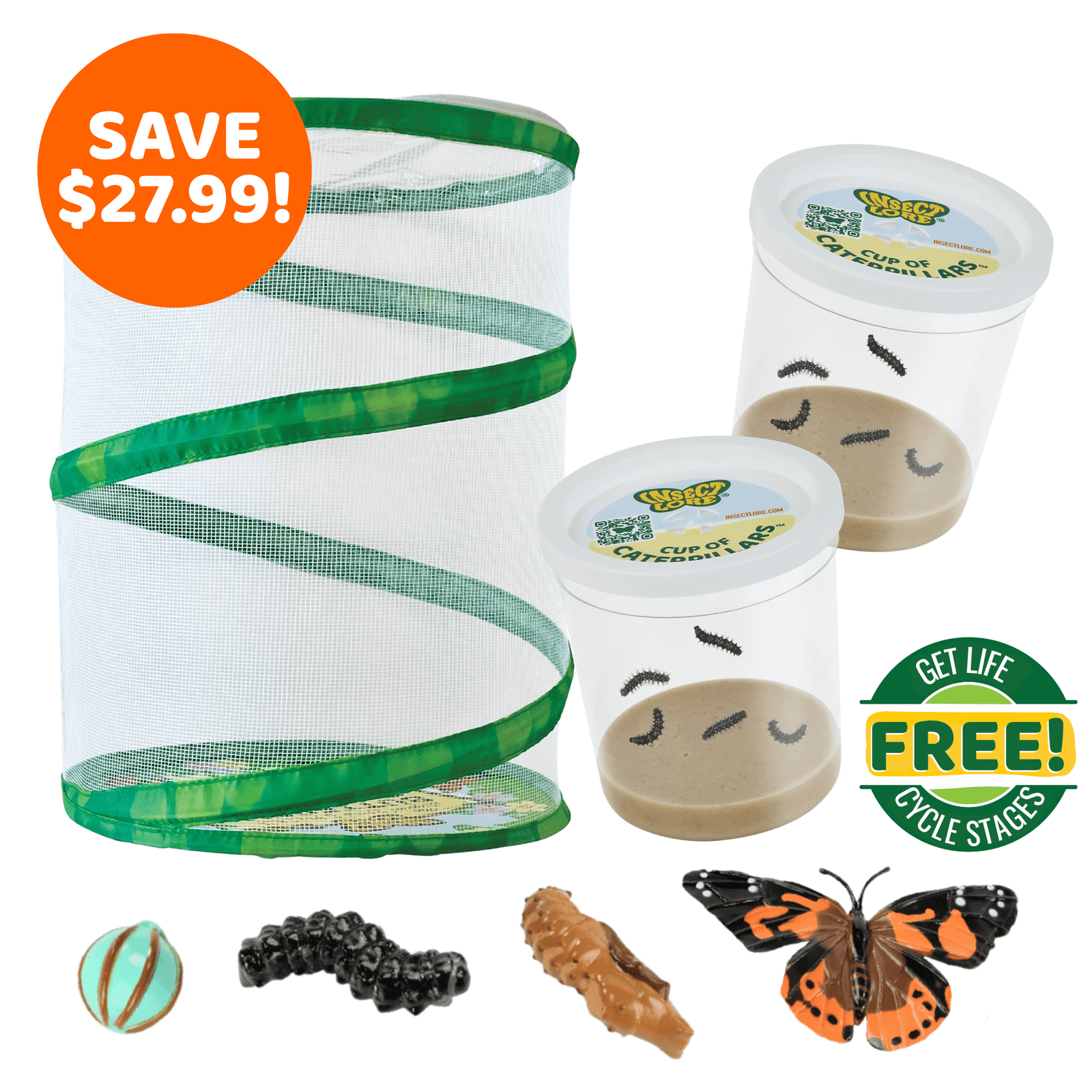 Butterfly Garden® With Two Cups of Caterpillars™ and FREE Butterfly Life Cycle Stages