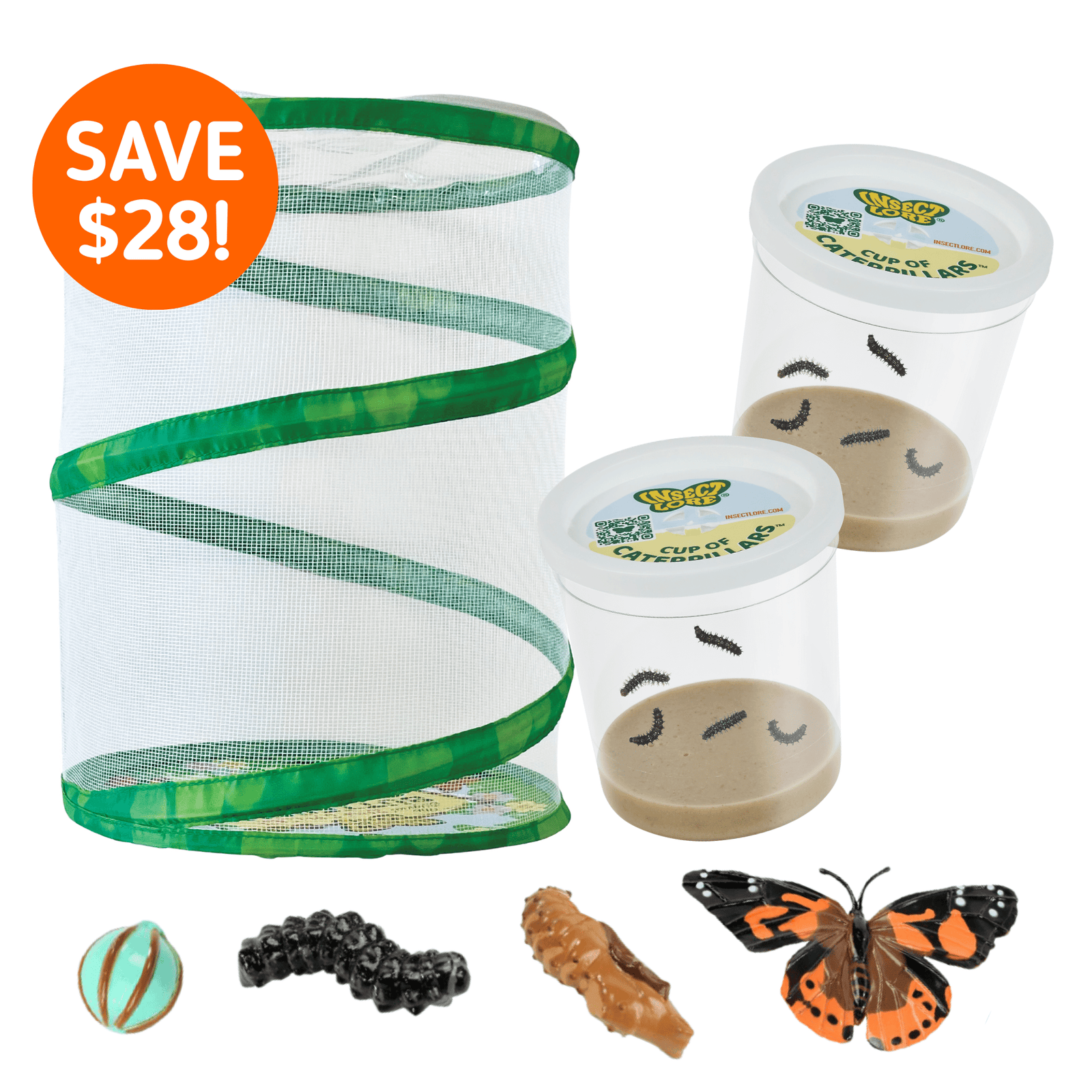 Butterfly Garden® With Two Cups of Caterpillars™ and FREE Butterfly Life Cycle Stages