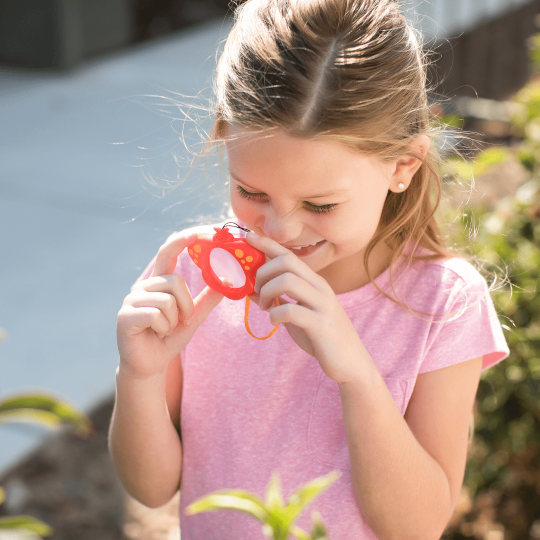 Small Insect Magnifying Insect Inspector Magnifying Glass | Identify Insects with Ease - Insect ...