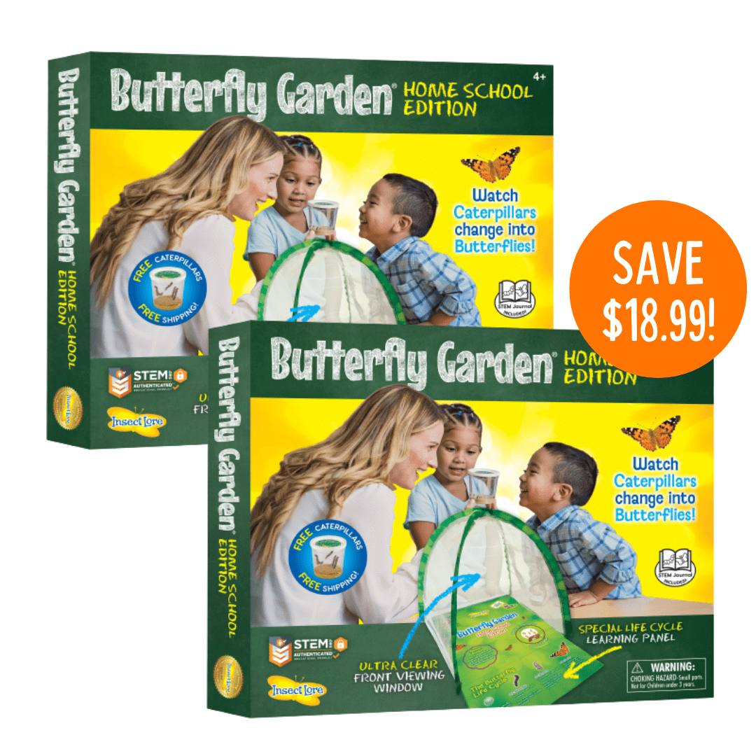 Buy a Butterfly Garden® Early Learning Edition with Prepaid Voucher, Get a 2nd Kit 50% Off!