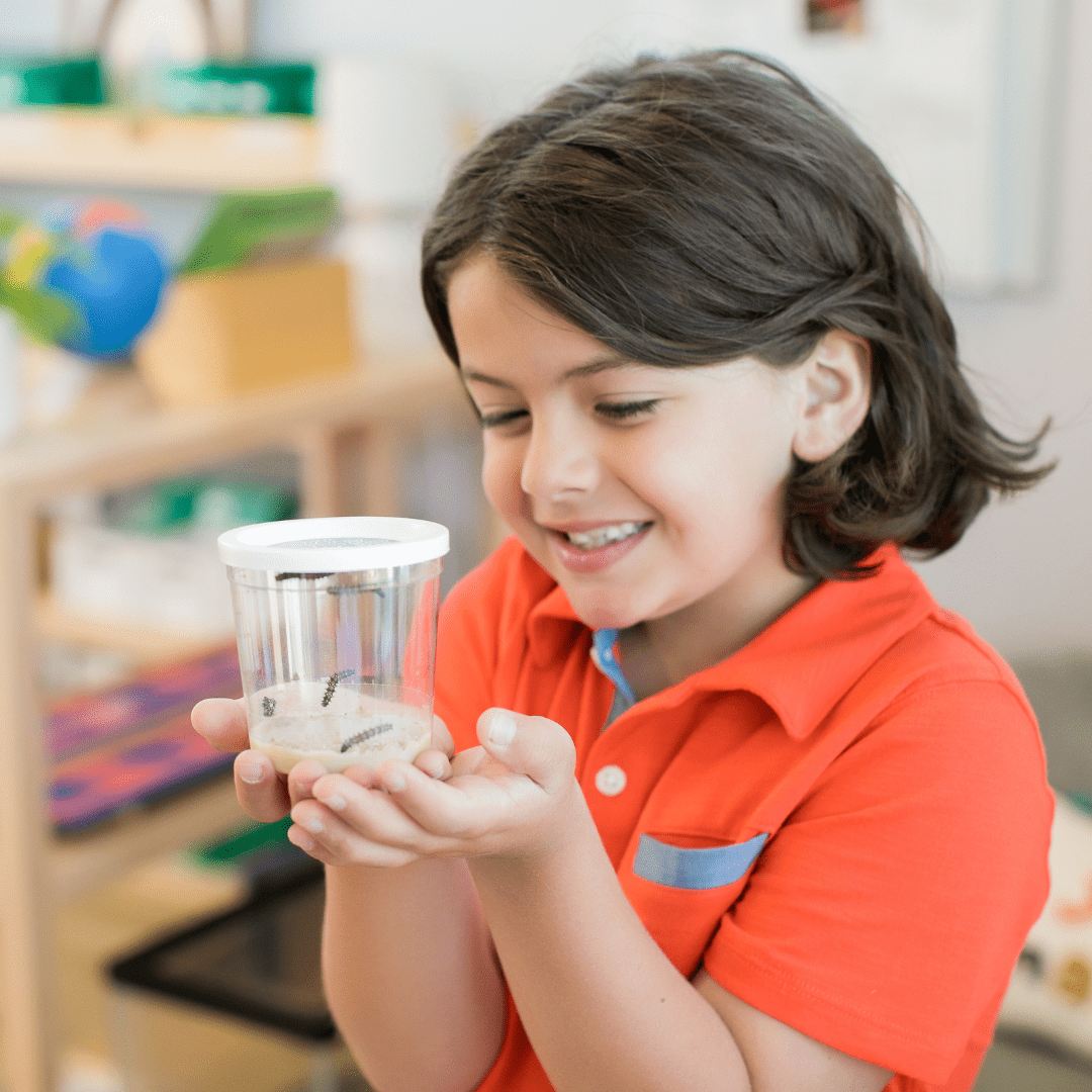 Boy in orange shirt looking into clear Cup of 5 Baby Caterpillars