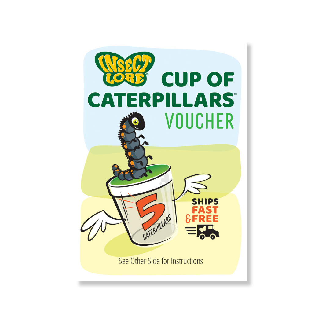 Caterpillar Cheer Stocking Stuffers
