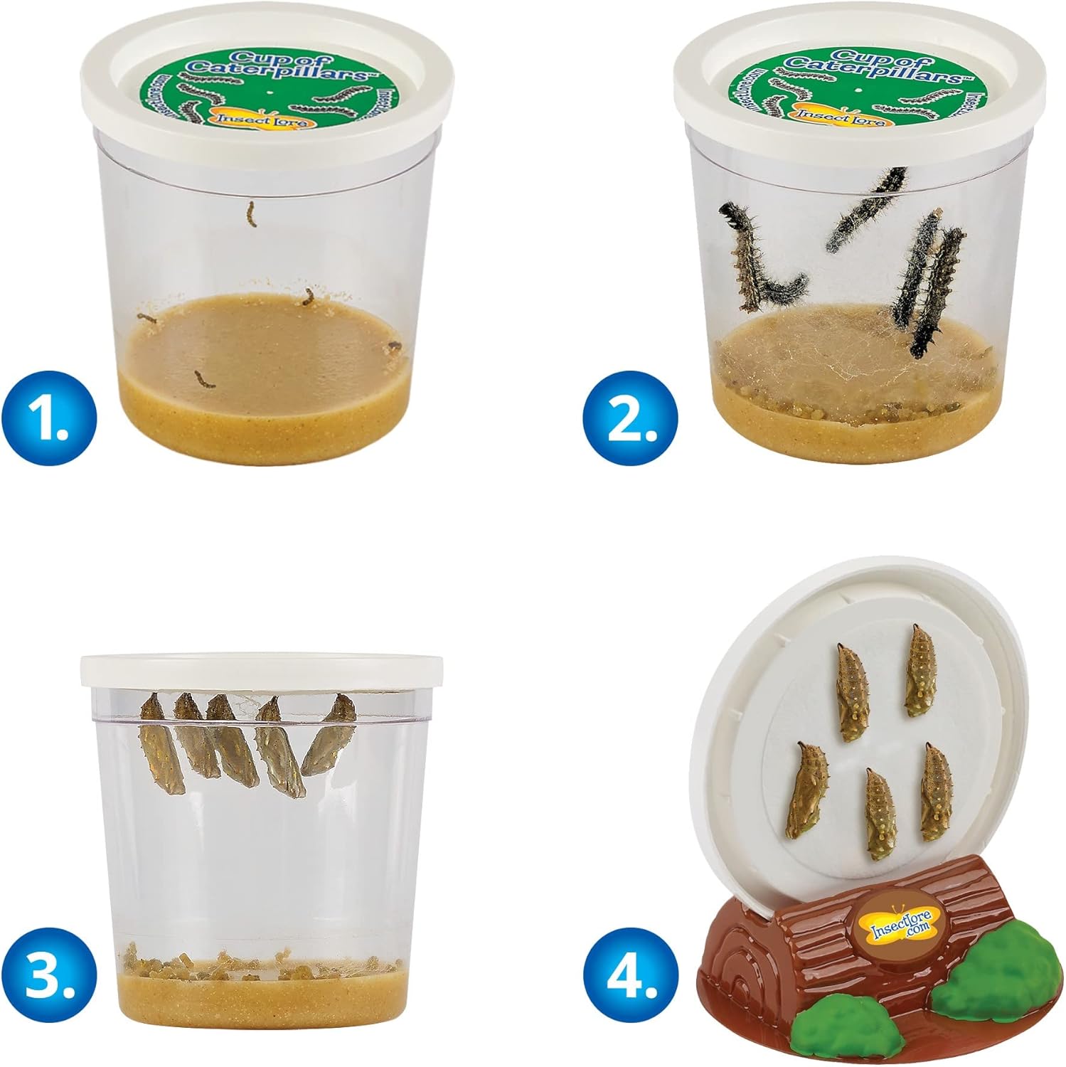 Cup Of Caterpillars™