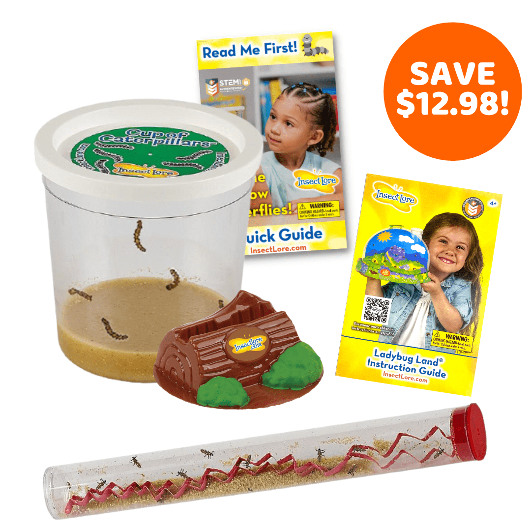 Cup Of Caterpillars™ and Tube of Ladybug Larvae for $25!