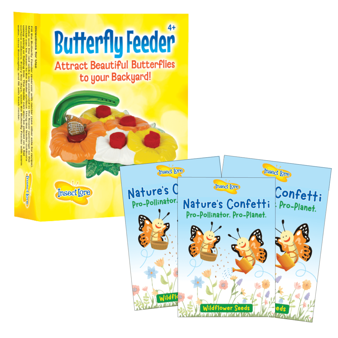 flower seeds that attract butterflies Deluxe Butterfly Feeder & Wildflower Seeds Bundle