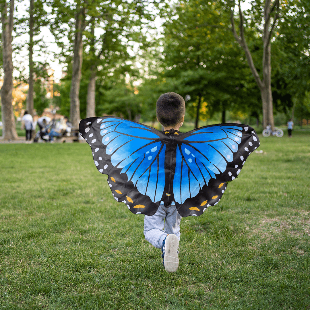 Dress Up Blue Morpho Butterfly Wings