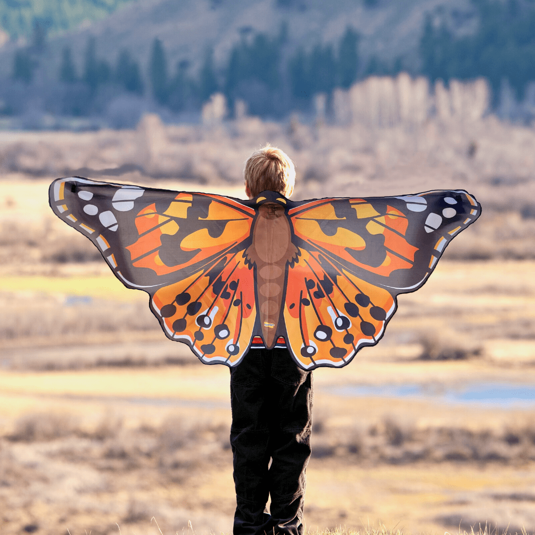 Small boy wearing dress up painted lady butterfly wings in nature