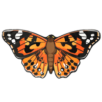 Dress Up Painted Lady Butterfly Wings - Special Offer!