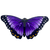 Dress Up Purple Morpho Butterfly Wings