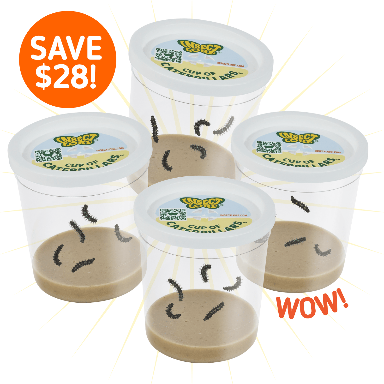 Funtastic 4 Cup Caterpillar Refill