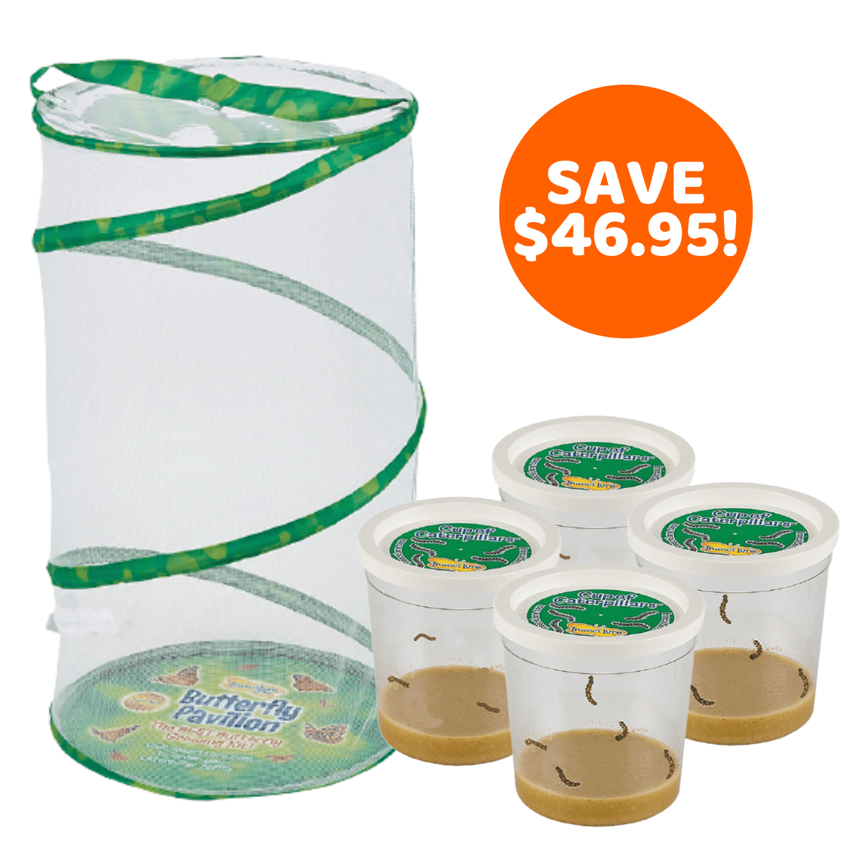Funtastic 4 Cup Caterpillar Refill with FREE Butterfly Pavilion® Habitat