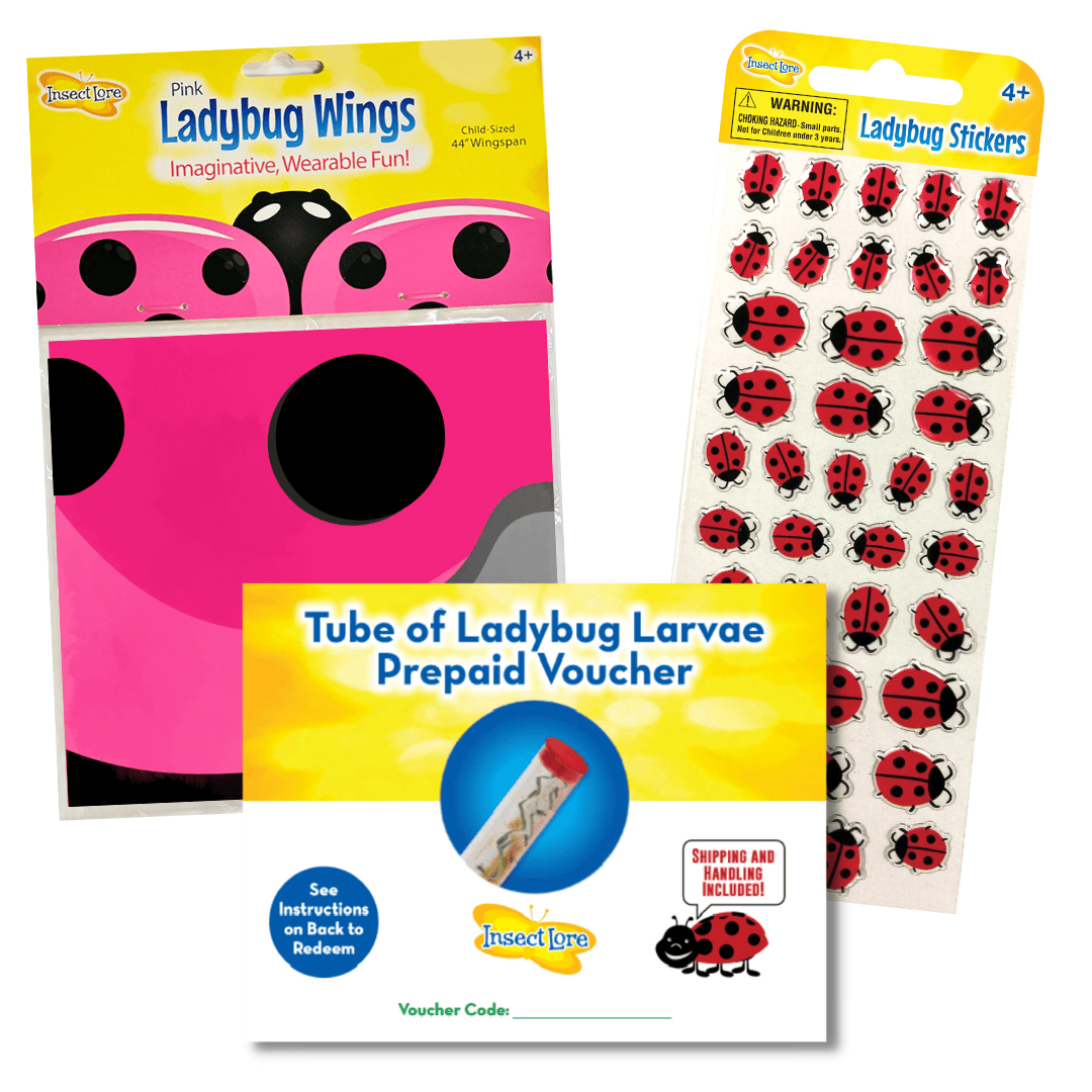 Ladybug Love Stocking Stuffers